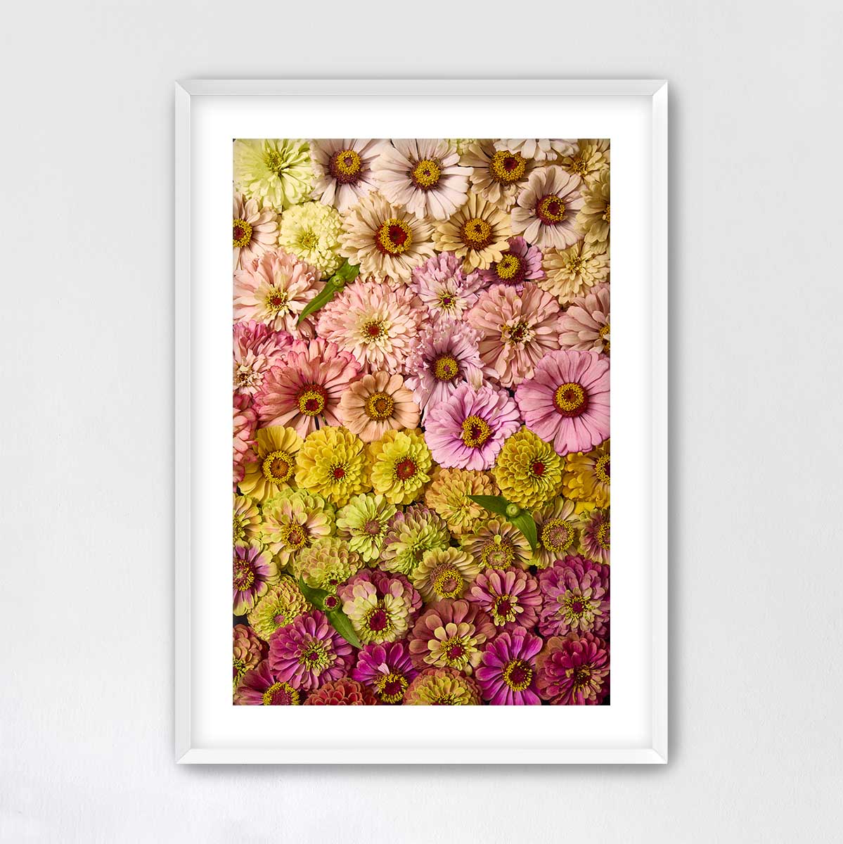 The image is a framed collage of various colorful flowers, including pink, yellow, and purple blooms, arranged in a visually appealing manner.