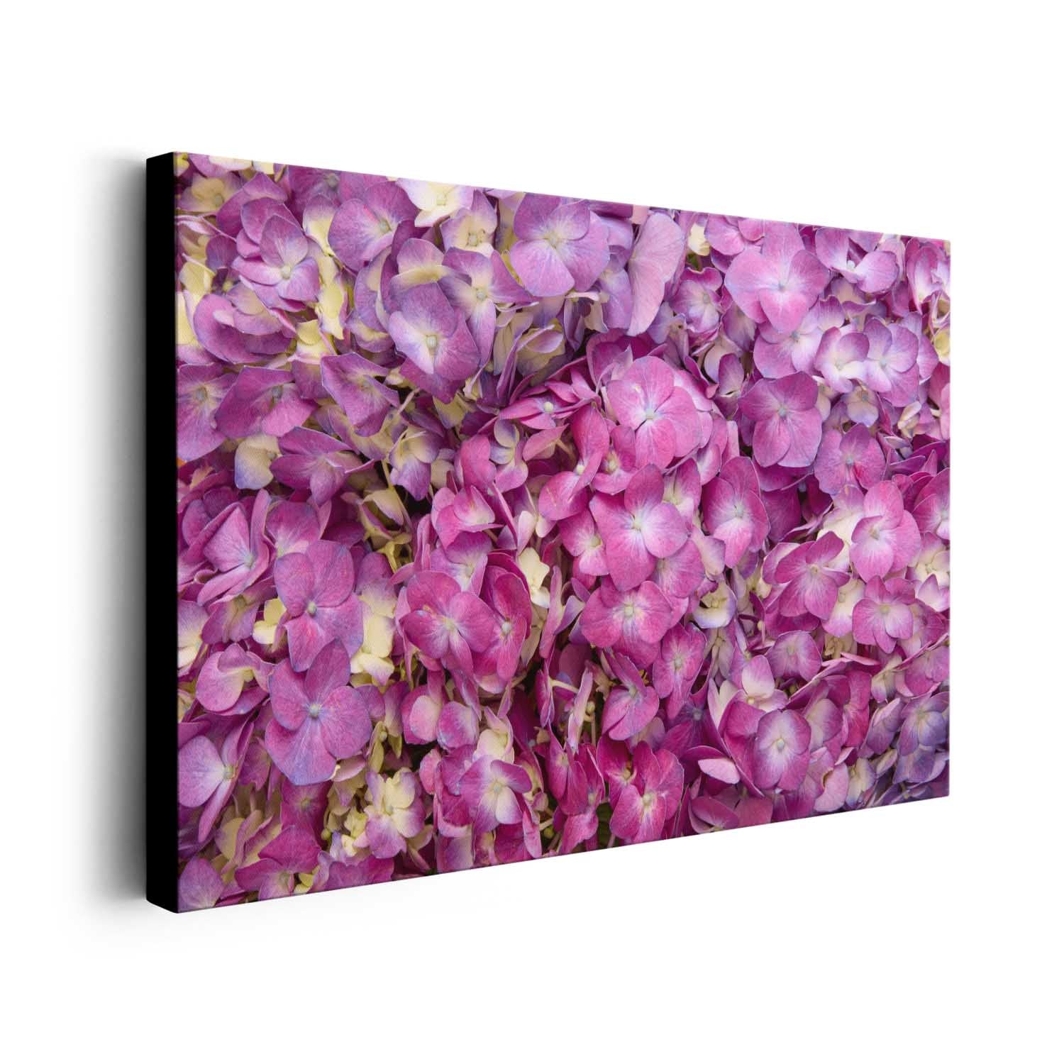 Purple Radiance - Horizontal