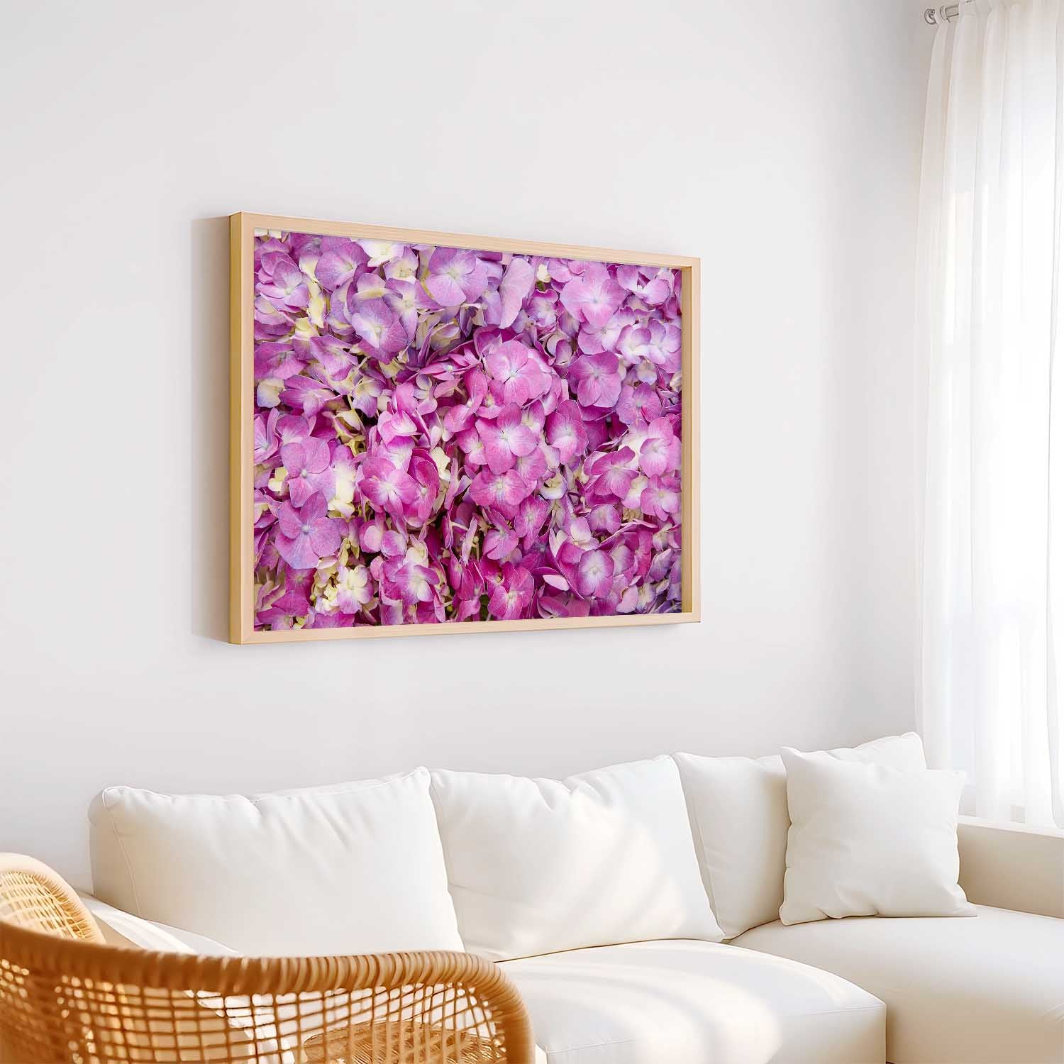 Purple Radiance - Horizontal