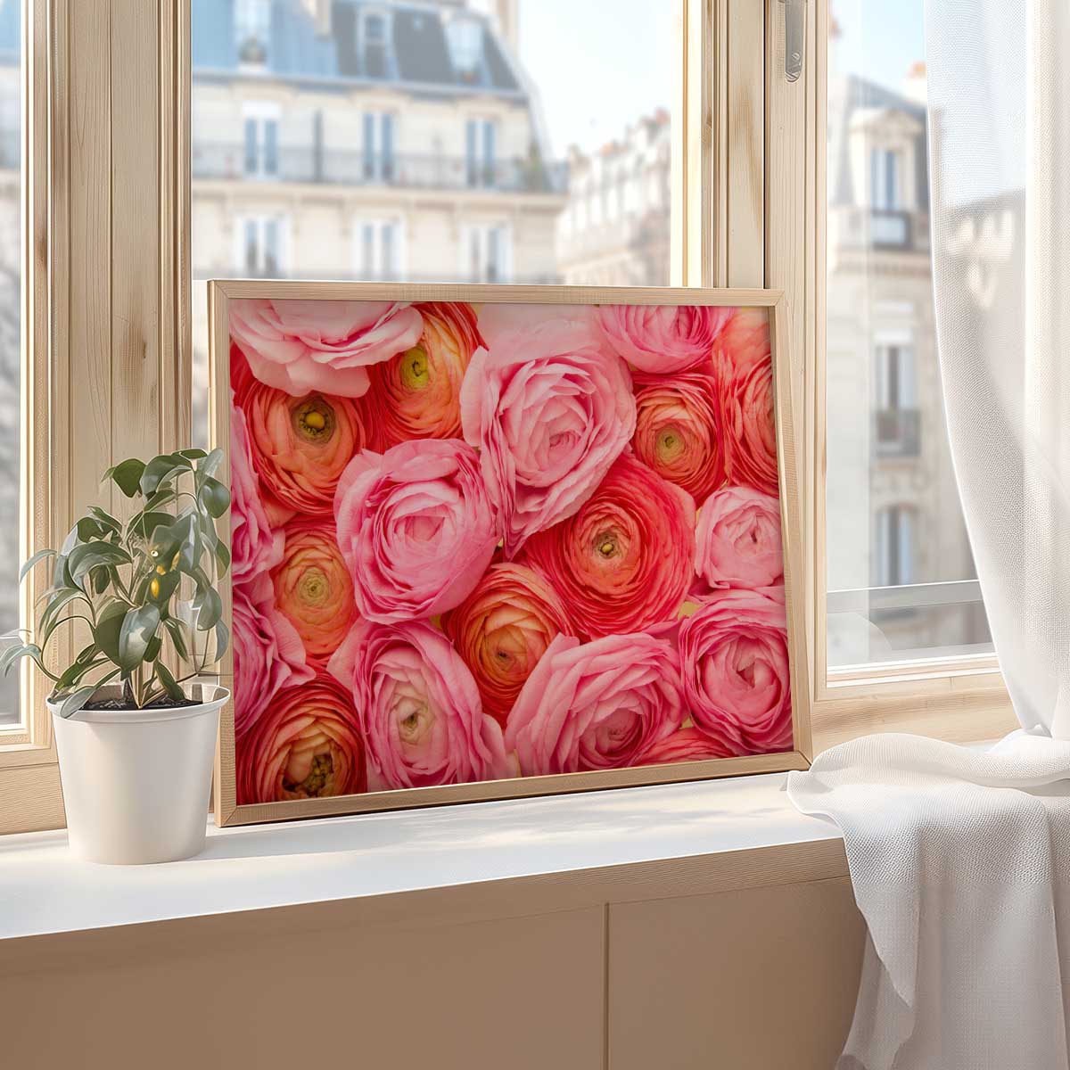 Layers Of Love - Horizontal Ranunculus Wall Art Canvas