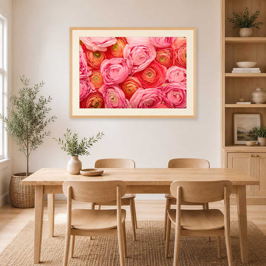 Layers Of Love Horizontal Ranunculus Wall Art Print with pink and coral ranunculus blooms in a warm room