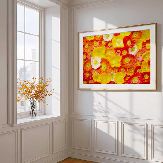 Glowing Fields Of Poppies - Horizontal