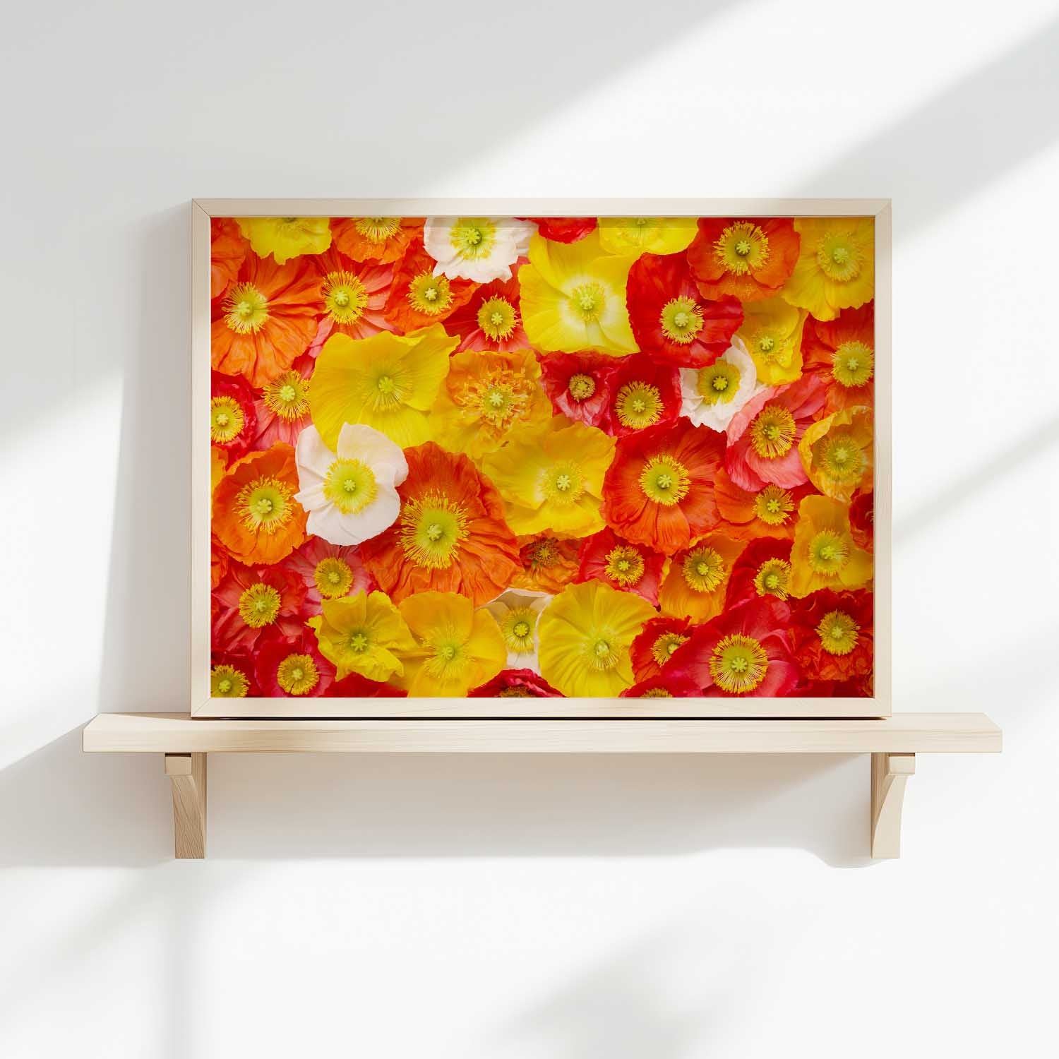 Glowing Fields Of Poppies - Horizontal