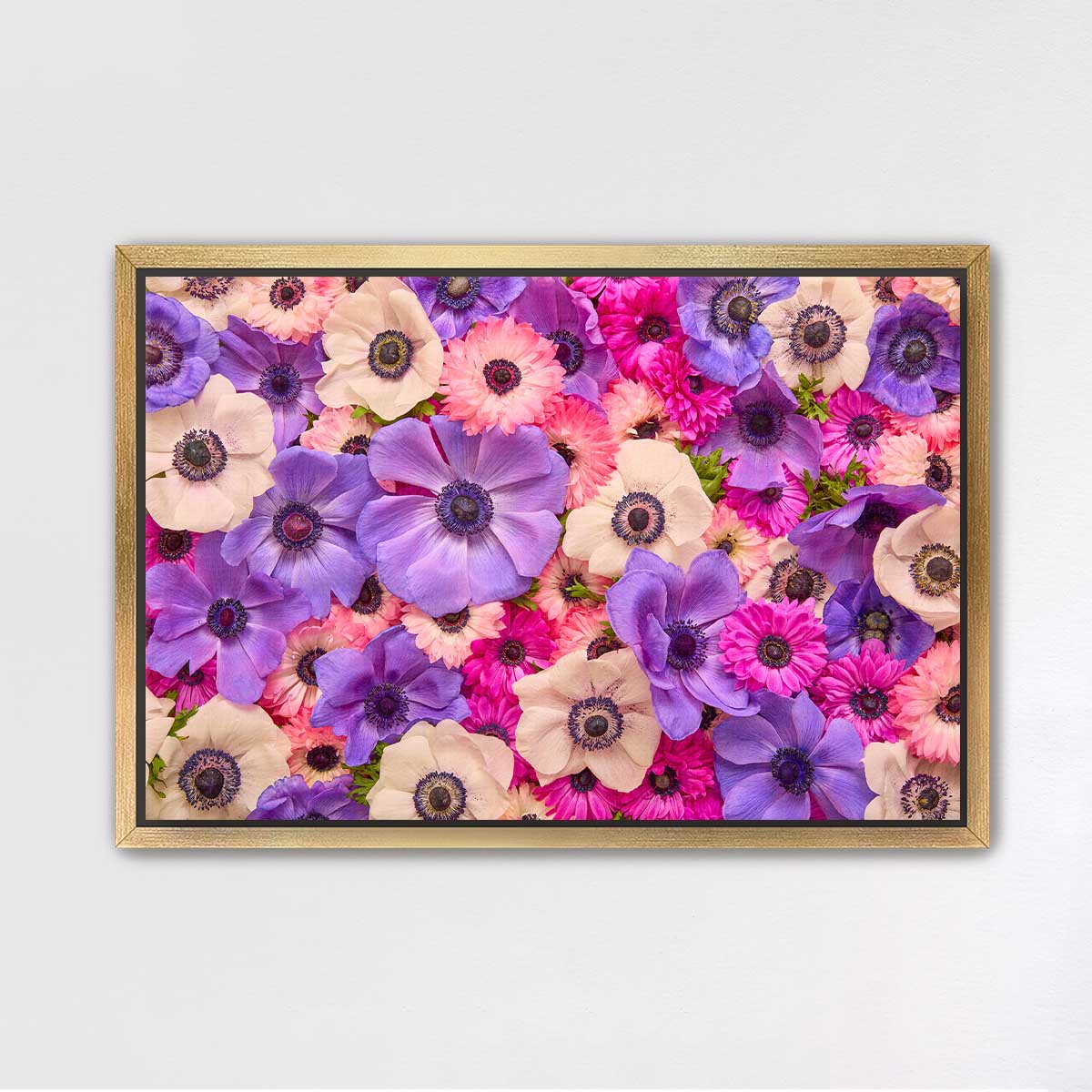 Purple Passion - Horizontal