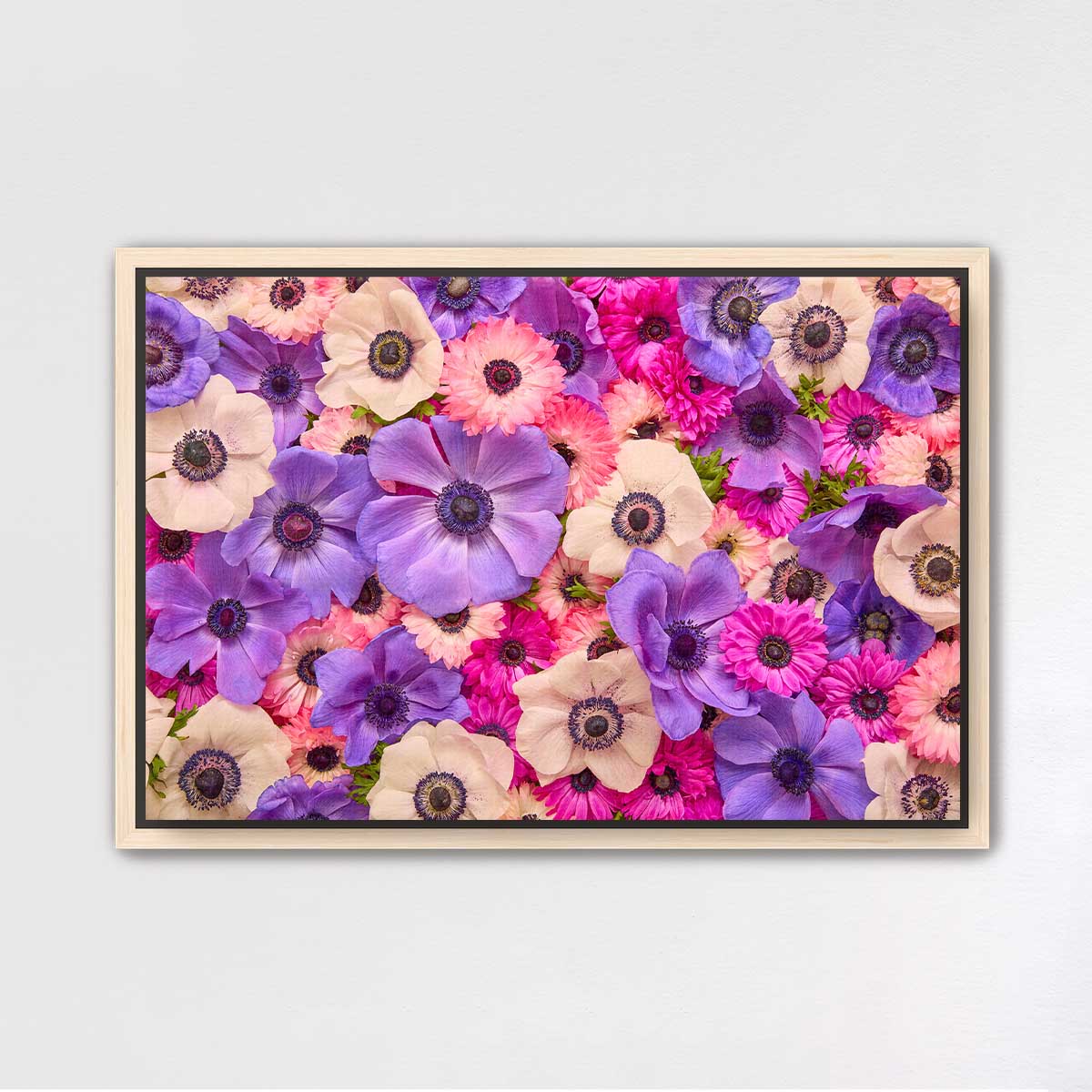 Purple Passion - Horizontal