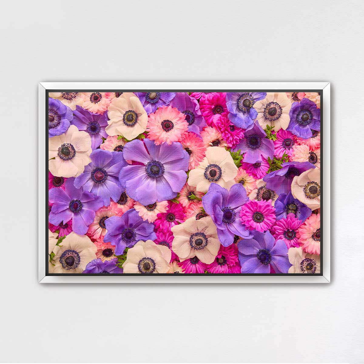 Purple Passion - Horizontal