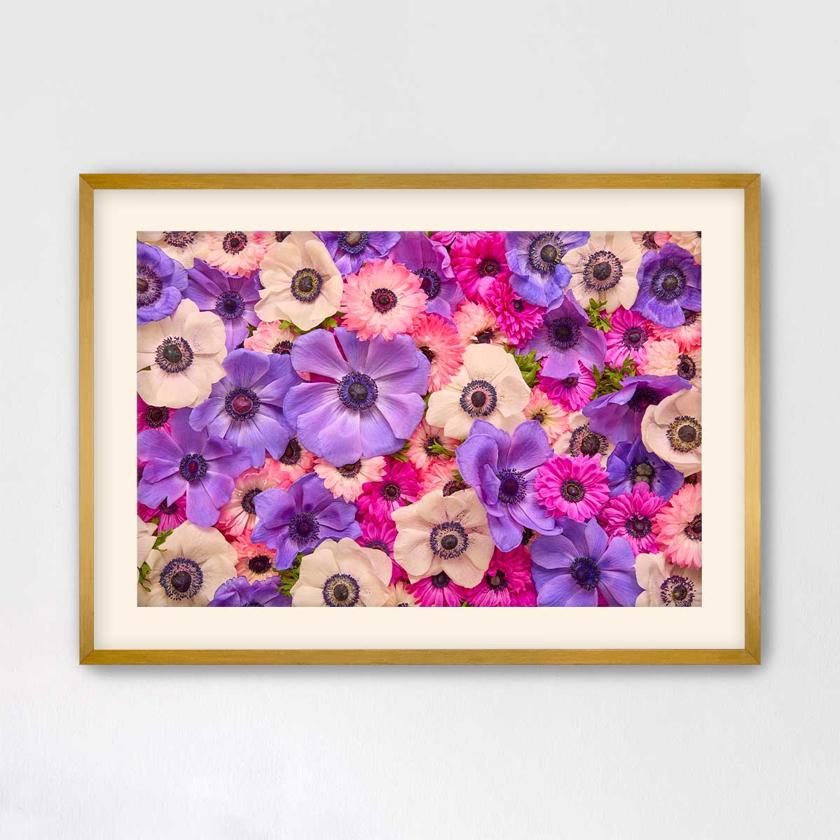 Purple Passion - Horizontal