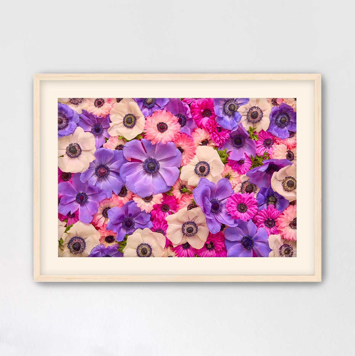 Purple Passion - Horizontal