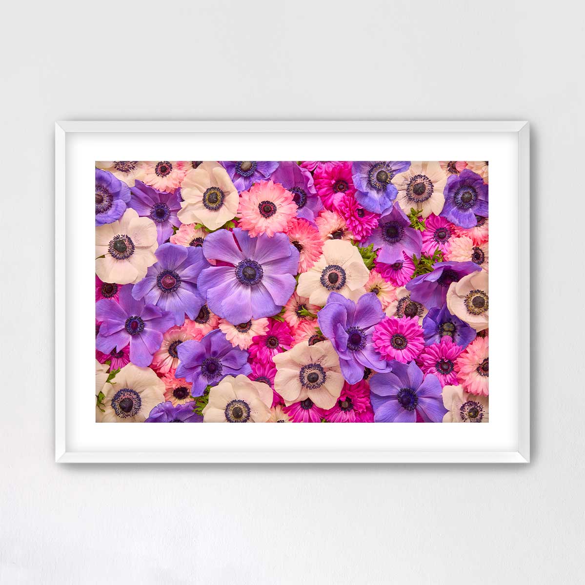Purple Passion - Horizontal