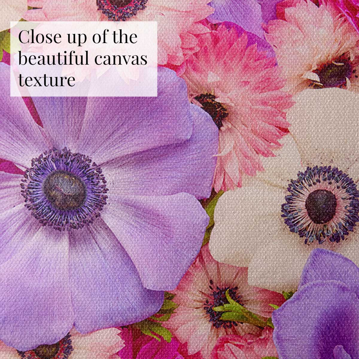 Purple Passion - Horizontal