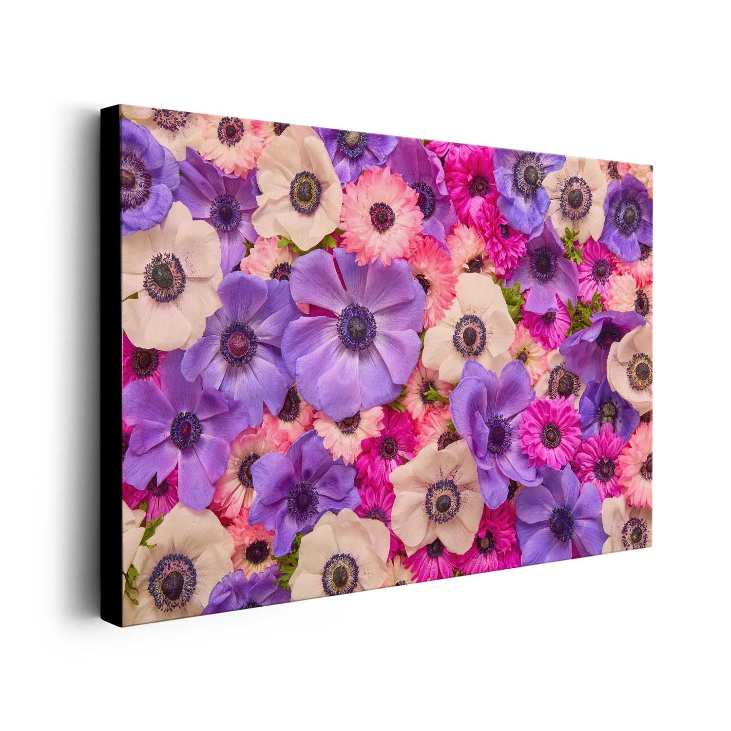Purple Passion - Horizontal