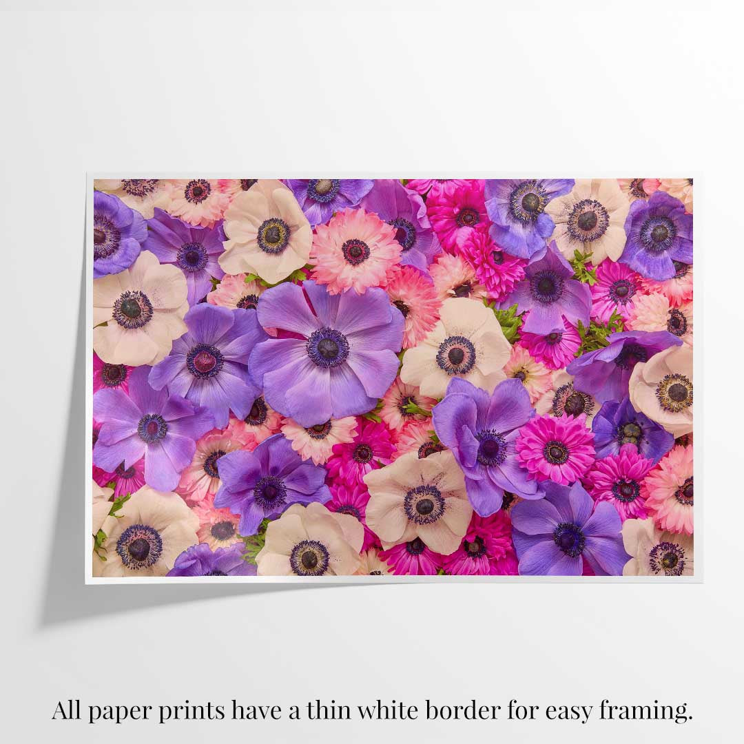 Purple Passion - Horizontal