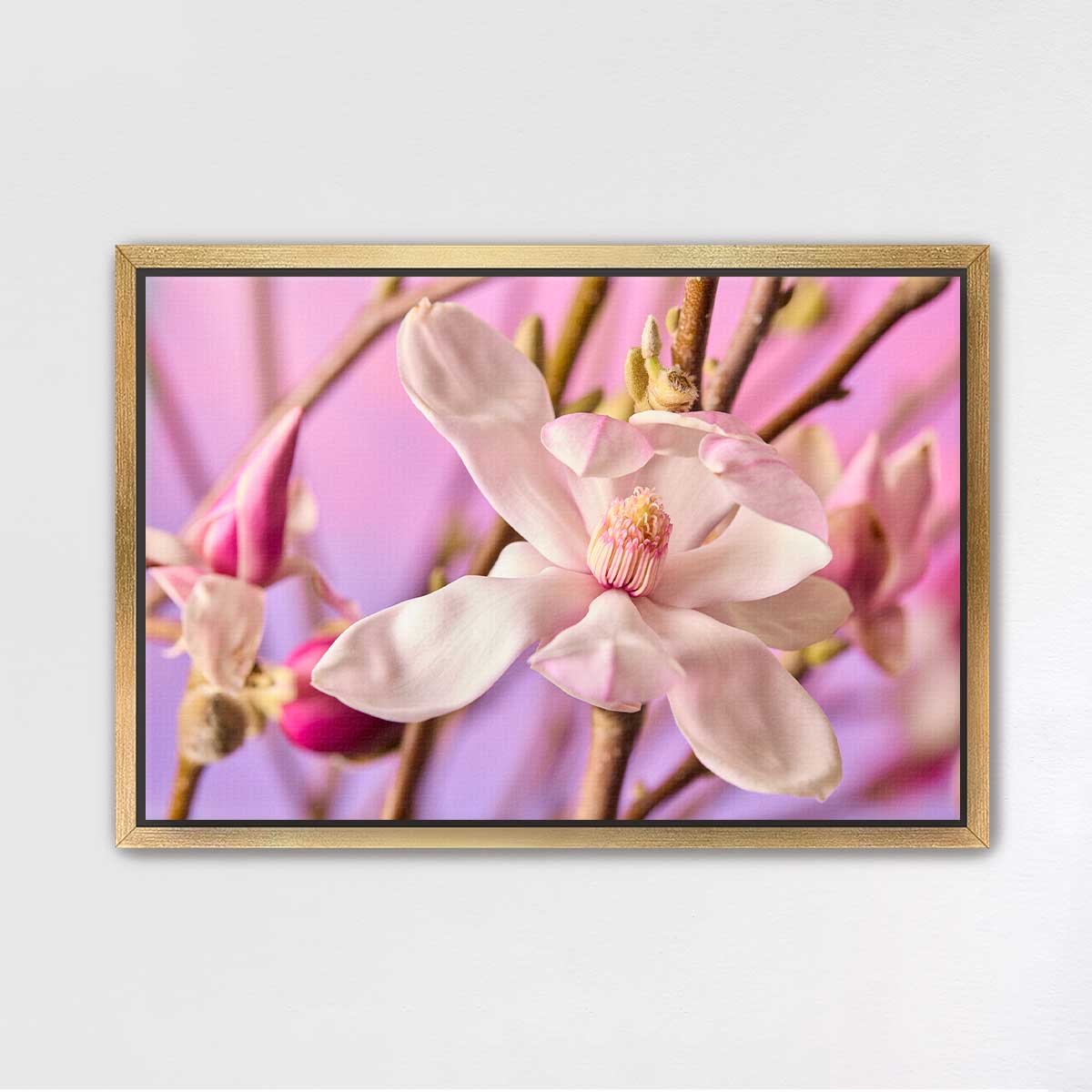 Magnolia Whisper