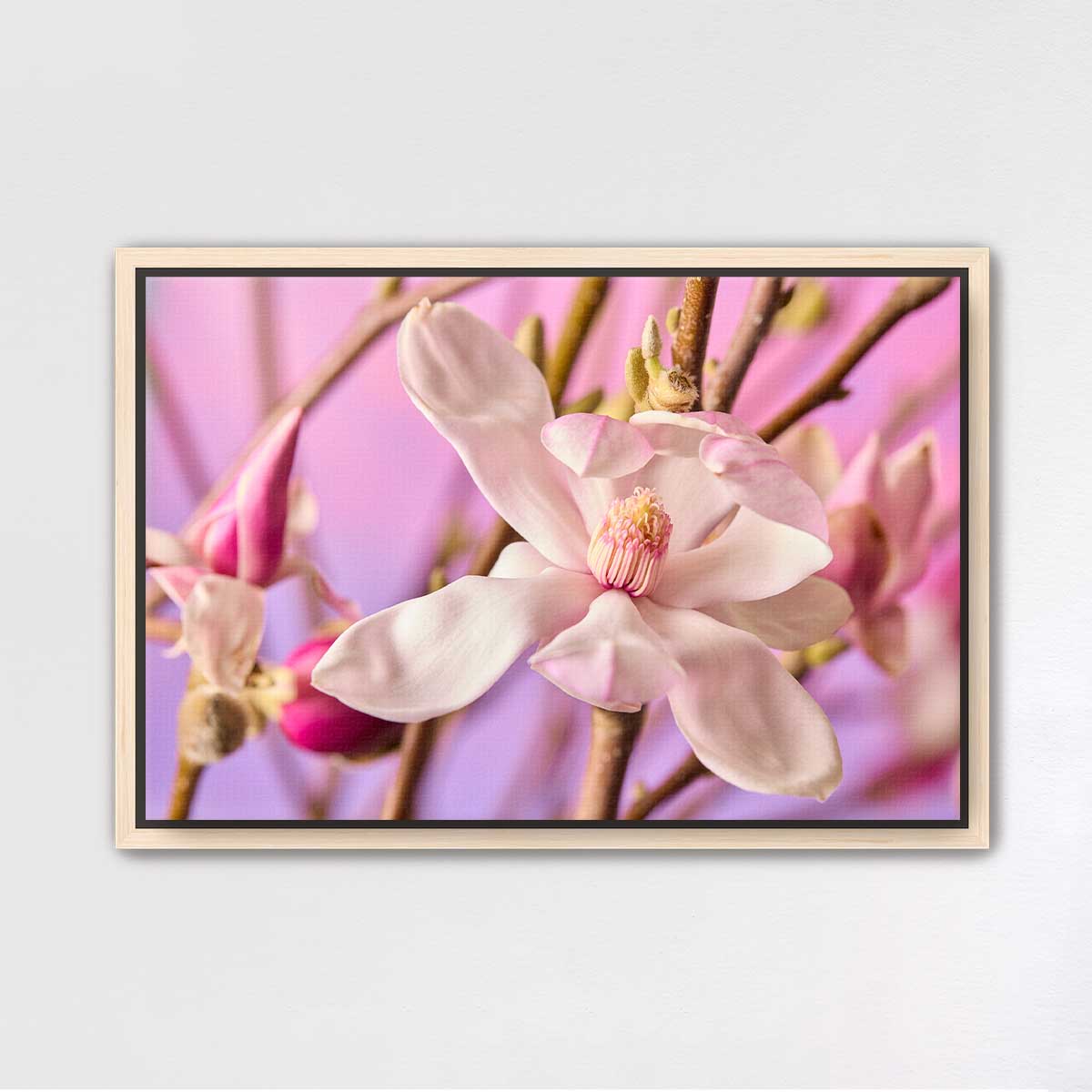 Magnolia Whisper