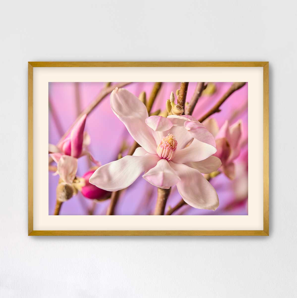 Magnolia Whisper
