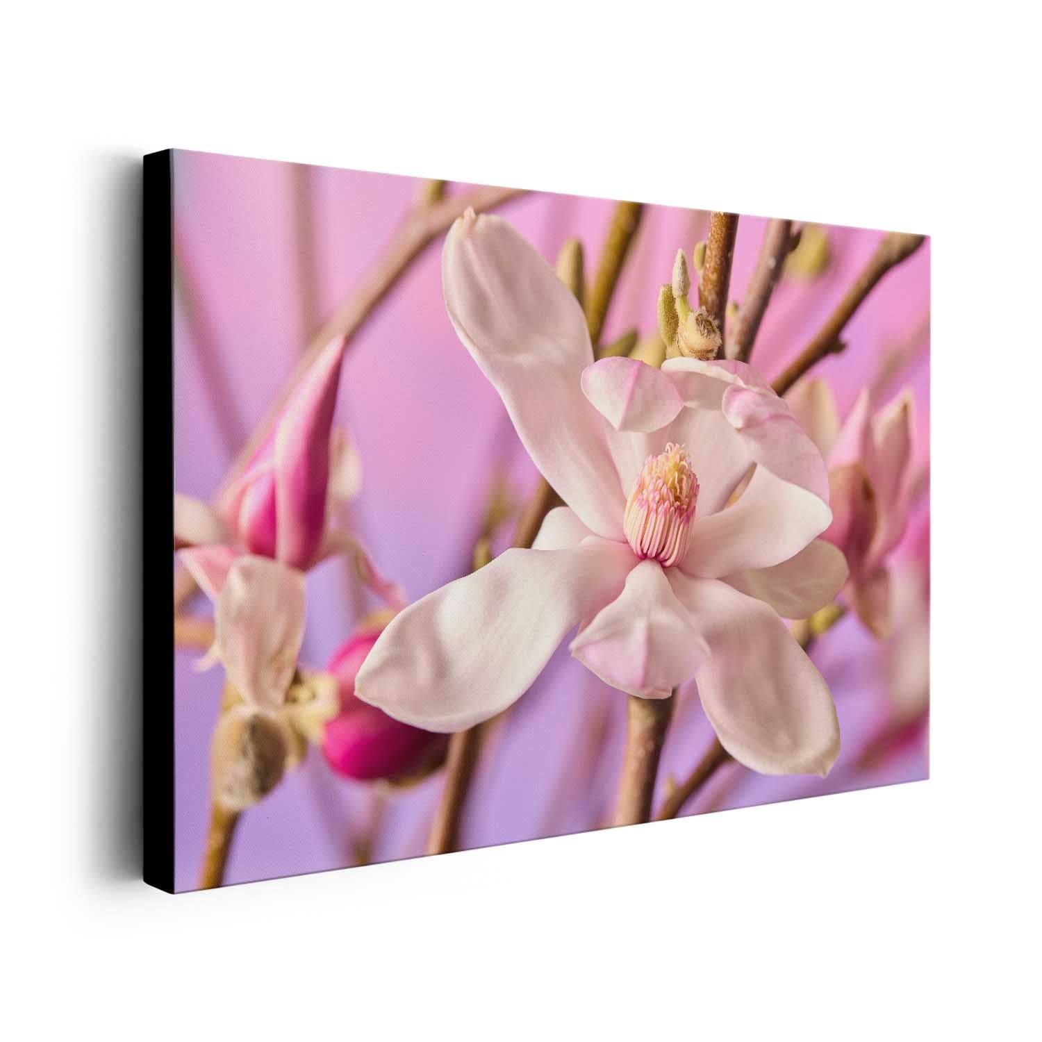 Magnolia Whisper
