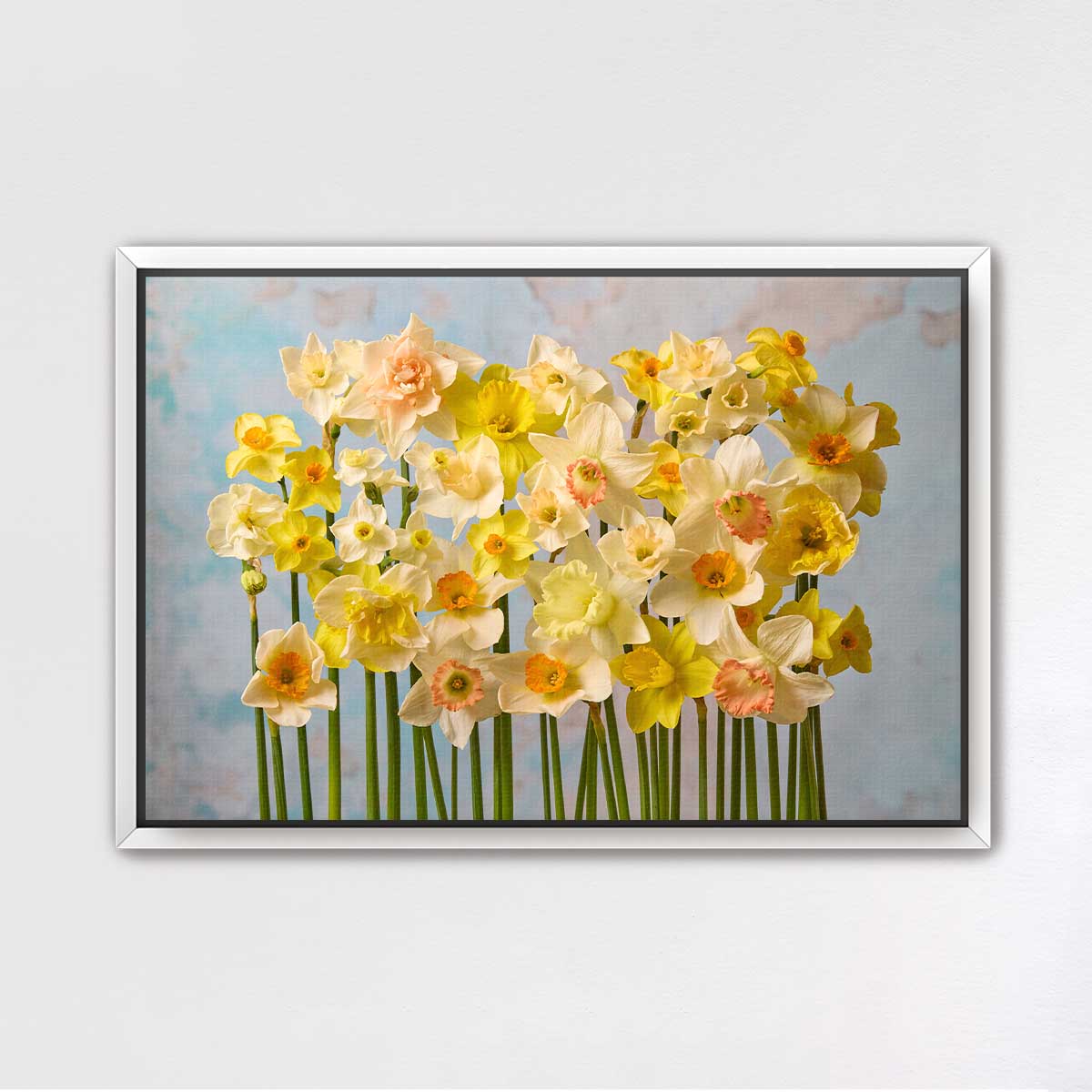 Daffodil Choir