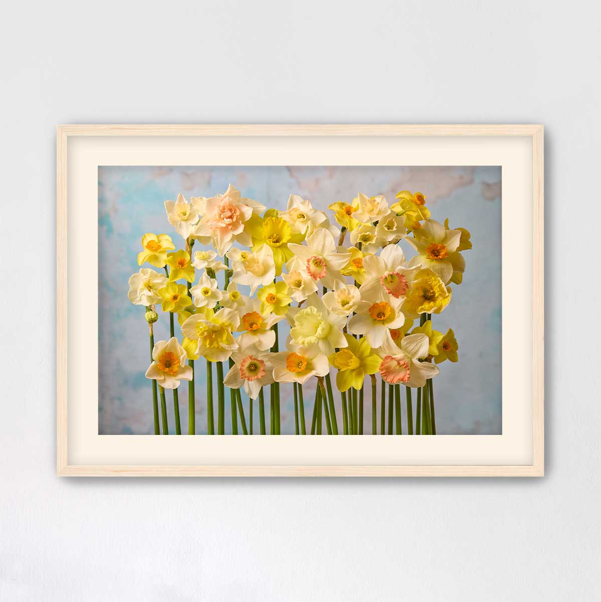 Daffodil Choir