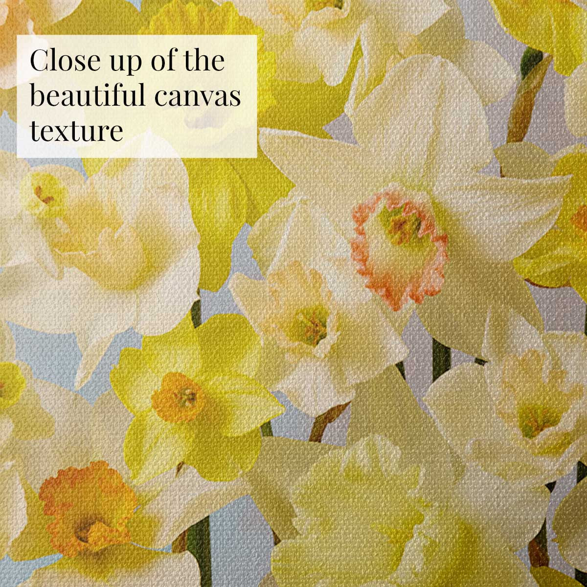 Daffodil Choir