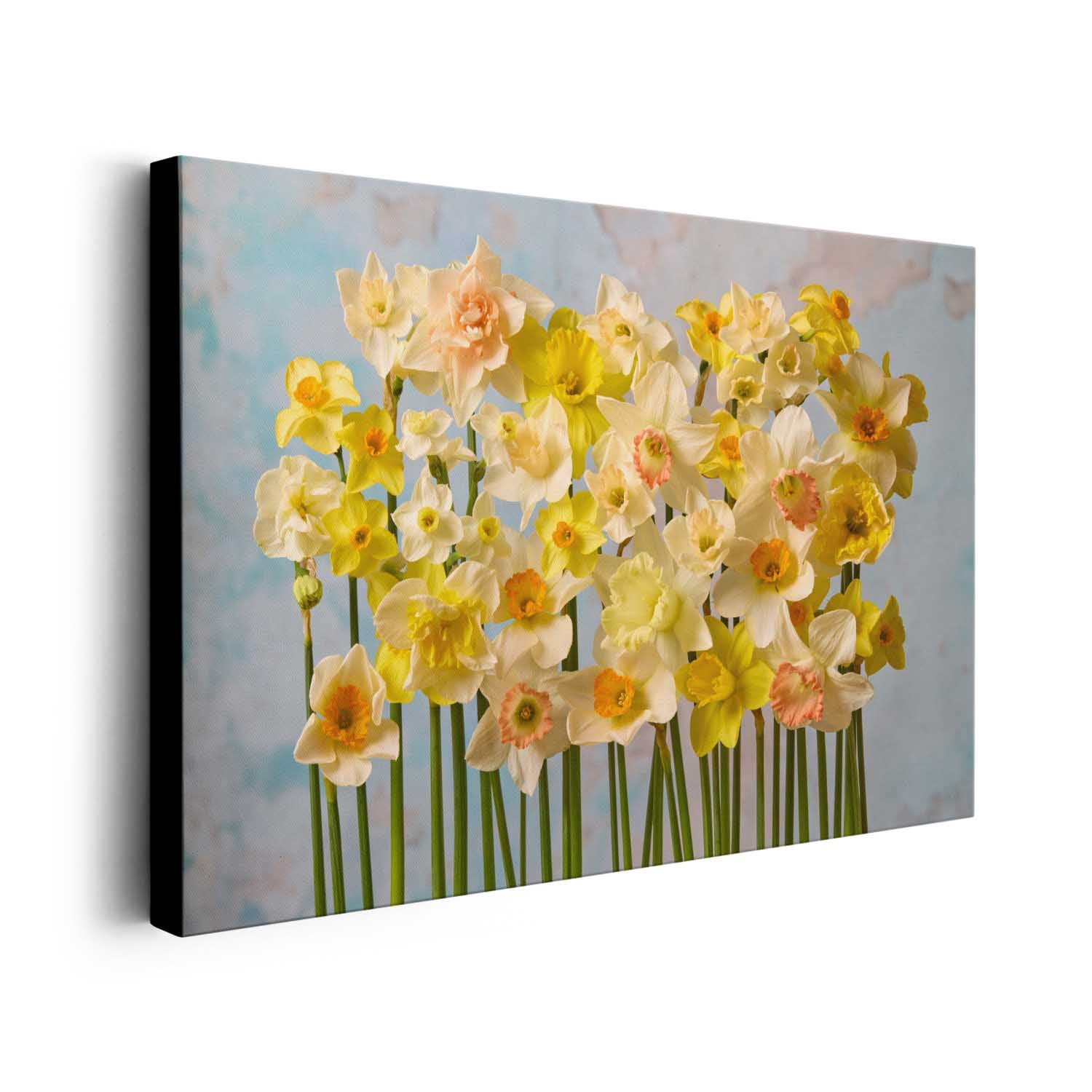 Daffodil Choir