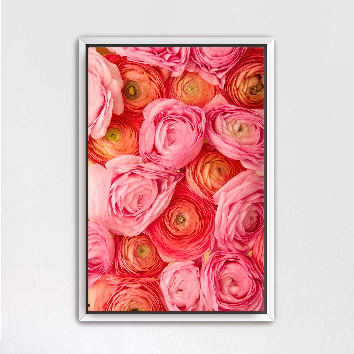 A framed image of a vibrant bouquet of pink and orange roses.