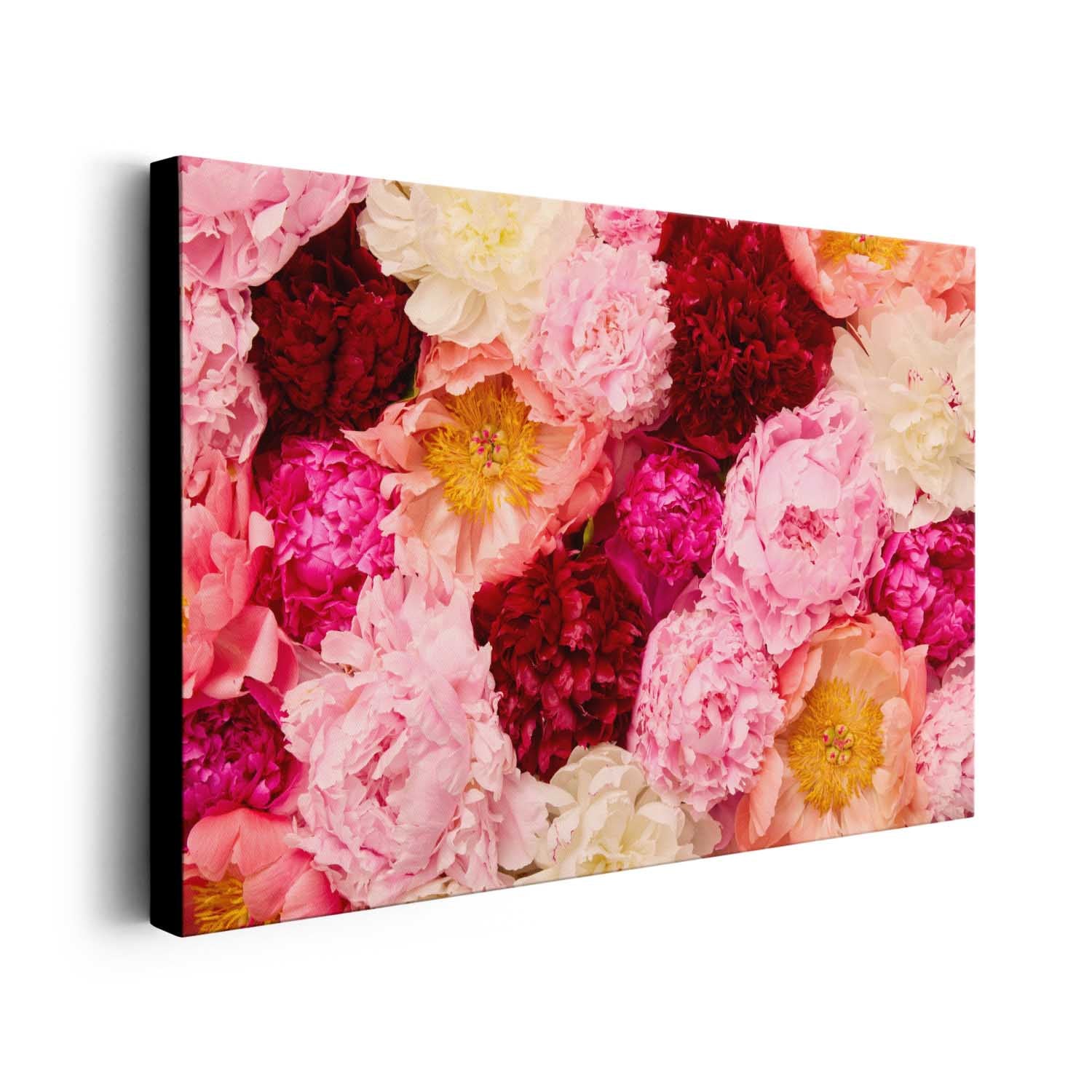 Peony Rhapsody - Horizontal
