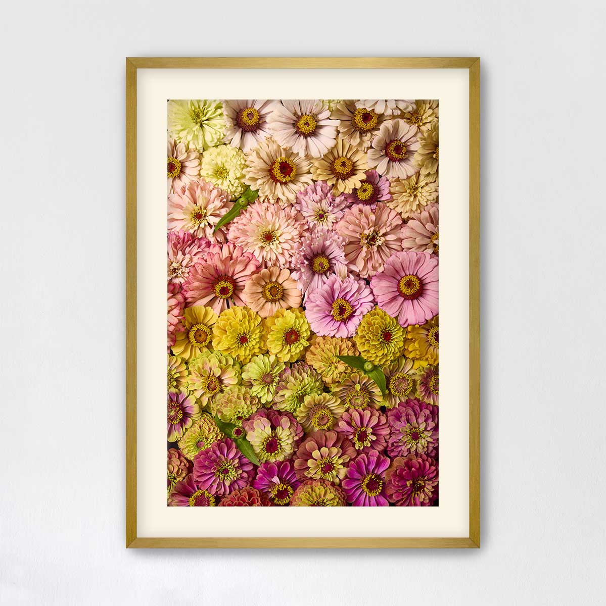 The image is a framed collage of various colorful flowers, including pink, yellow, and purple blooms, arranged in a visually appealing manner.