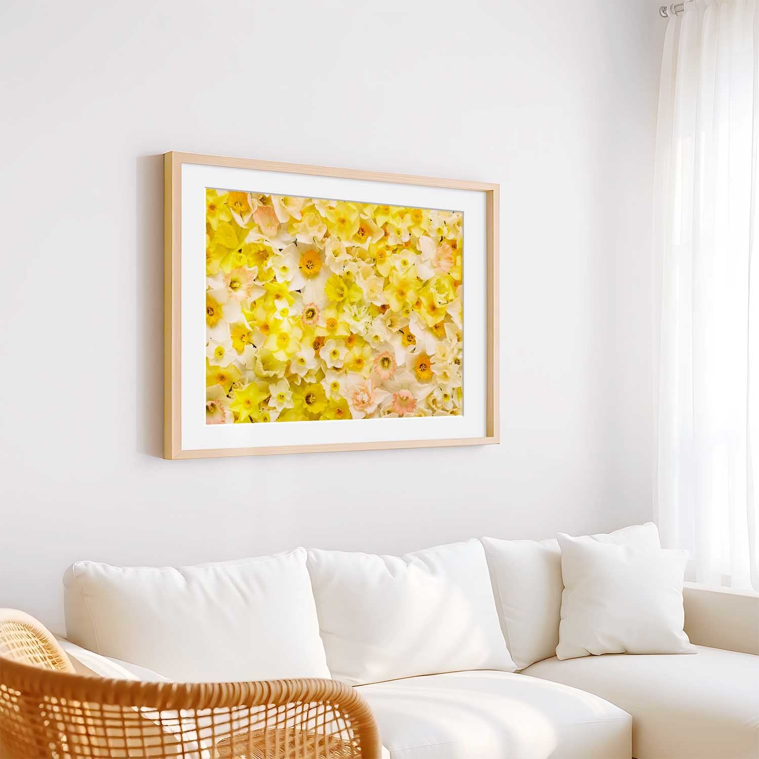 Daffodil Dreams Horizontal