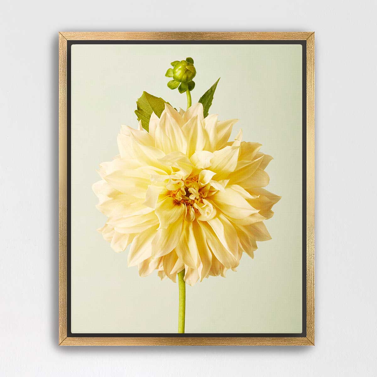 A large, vibrant yellow dahlia flower with a green stem is the central focus of the framed artwork.