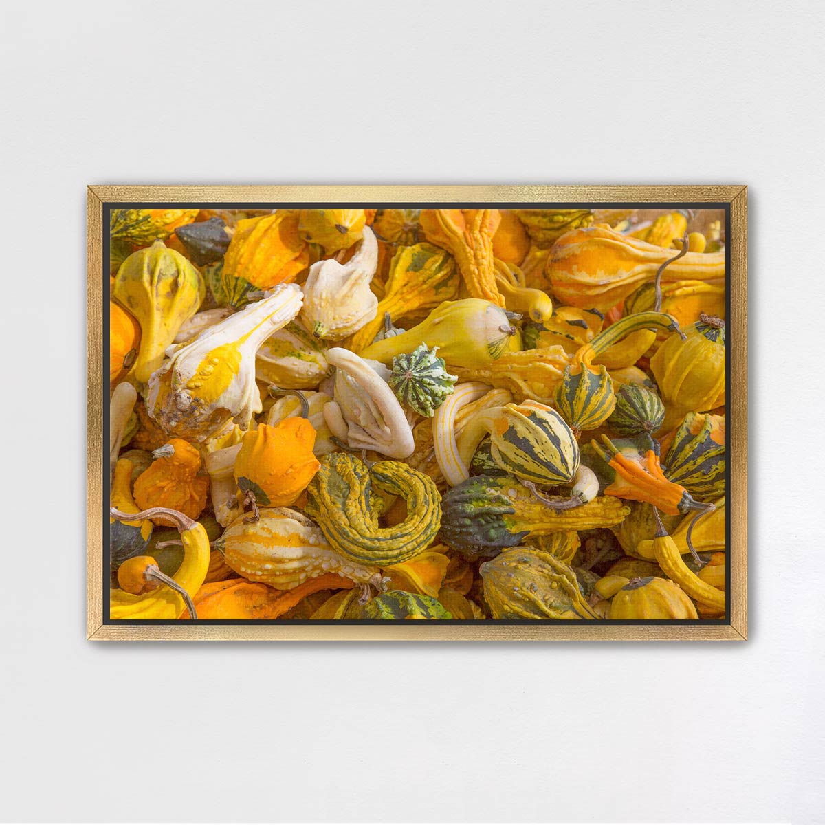 Autumn Gourds