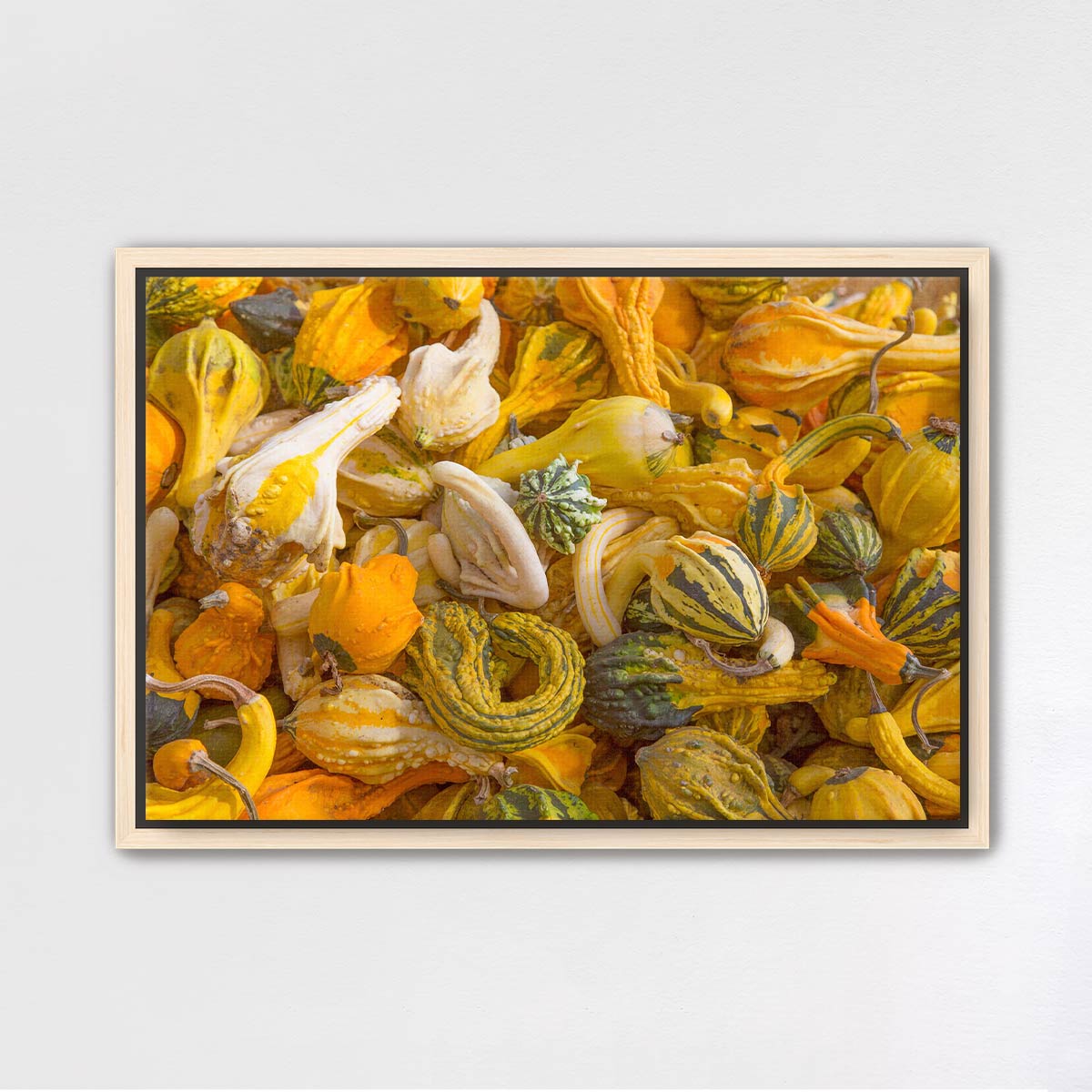 Autumn Gourds