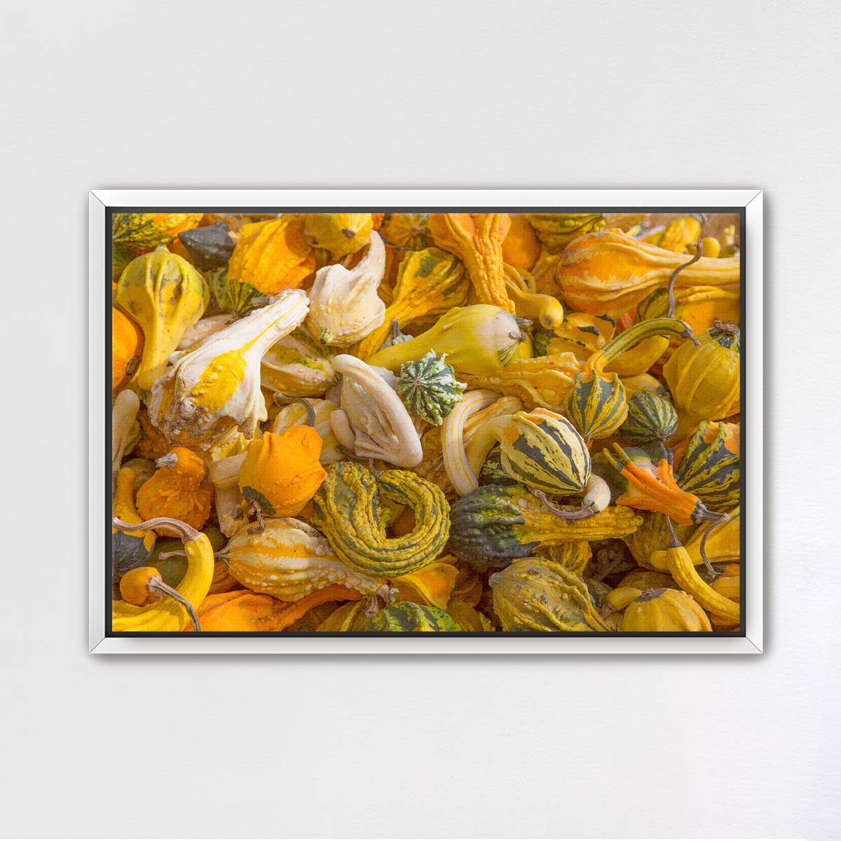 Autumn Gourds