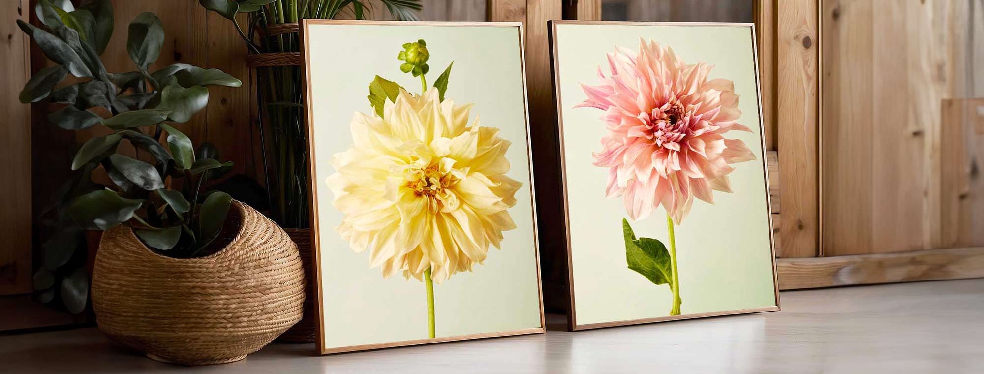 custom-slideshow-image-desktop-block_kzUNWk