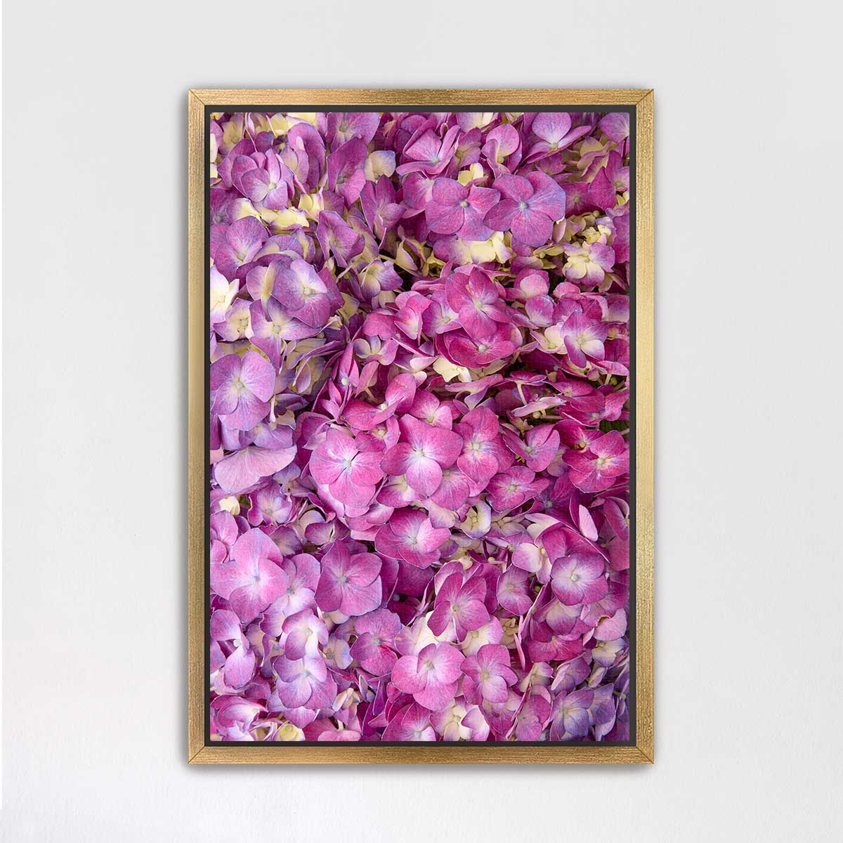 The image is a framed photograph of a vibrant bouquet of pink and purple flowers, creating a visually striking and colorful display.