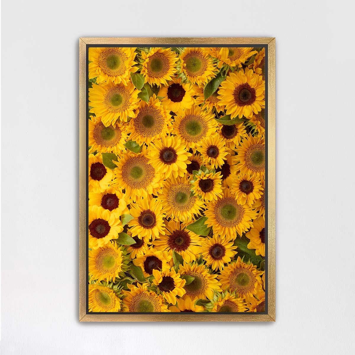 The image is a framed collage of numerous sunflowers, with a vibrant yellow color and green leaves. The sunflowers are arranged in a visually appealing manner, creating a sense of depth and texture. The frame is set against a plain white wall, allowing the sunflowers to stand out prominently.