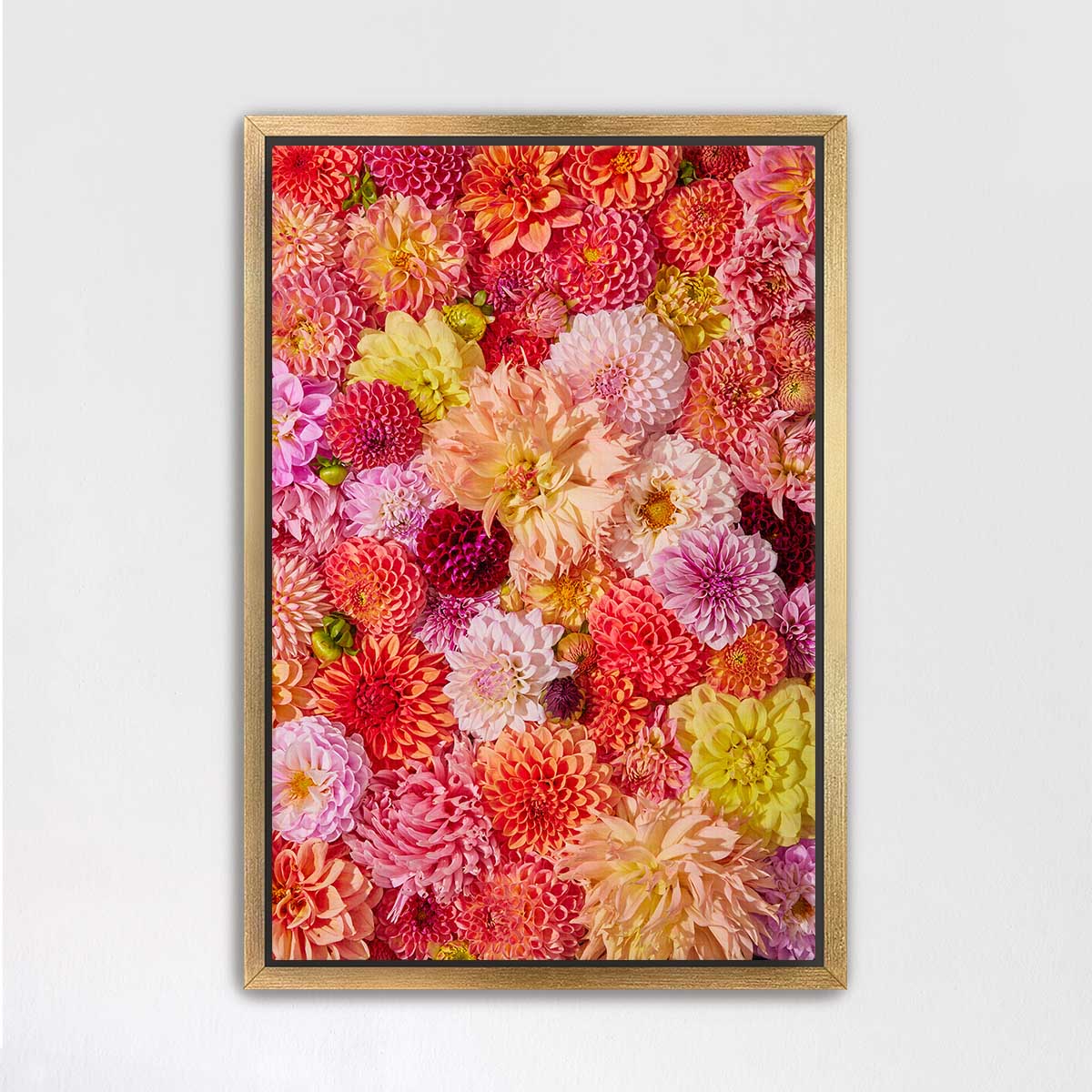 The image is a vibrant collage of various colorful flowers, including dahlias, peonies, and other blooms, arranged in a visually appealing manner.