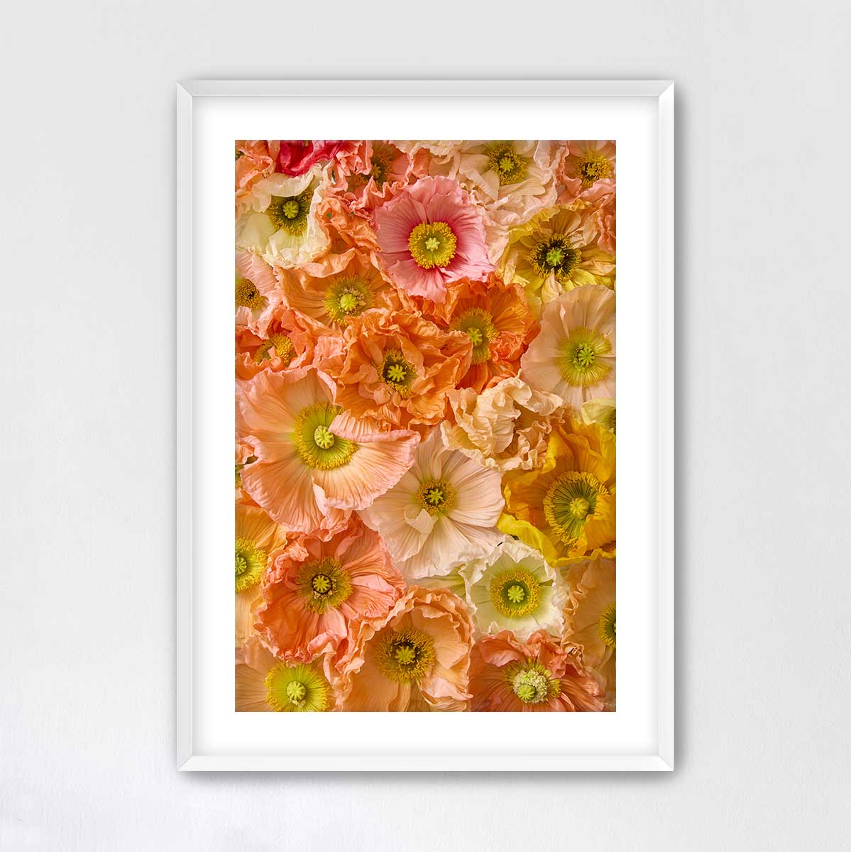 The image is a framed collage of various colorful flowers, including pink, orange, and yellow blooms, arranged in a visually appealing manner.