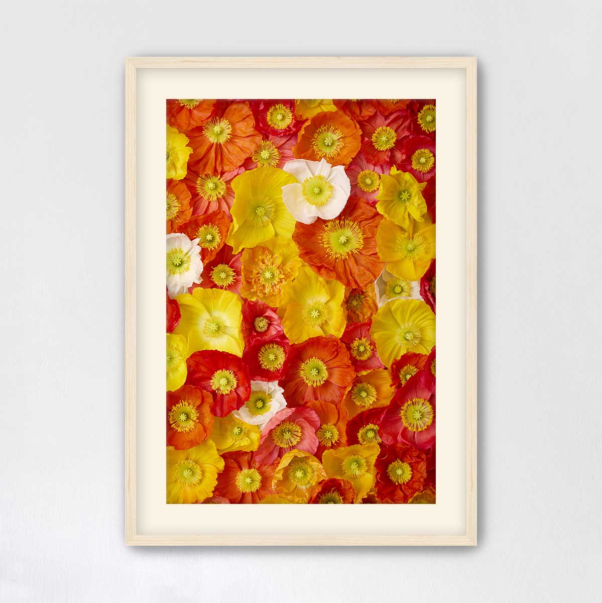 The image is a framed collage of various colorful flowers, including red, yellow, and white blooms, arranged in a visually appealing manner.