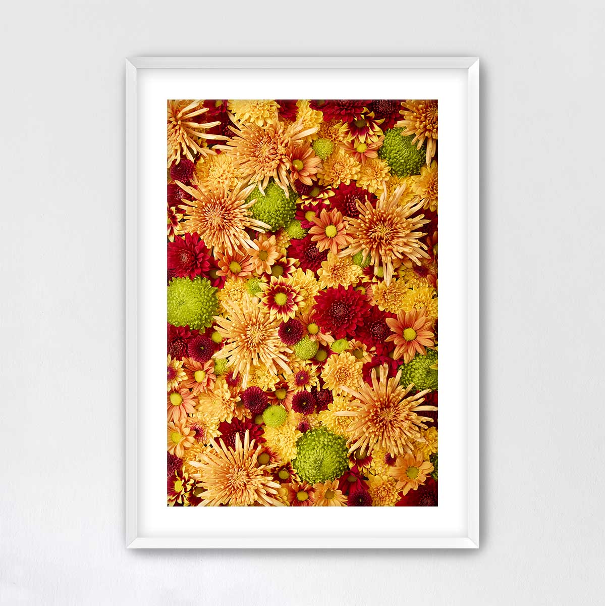 The image is a framed collage of various colorful flowers, including red, yellow, and green blooms, arranged in a visually appealing manner.