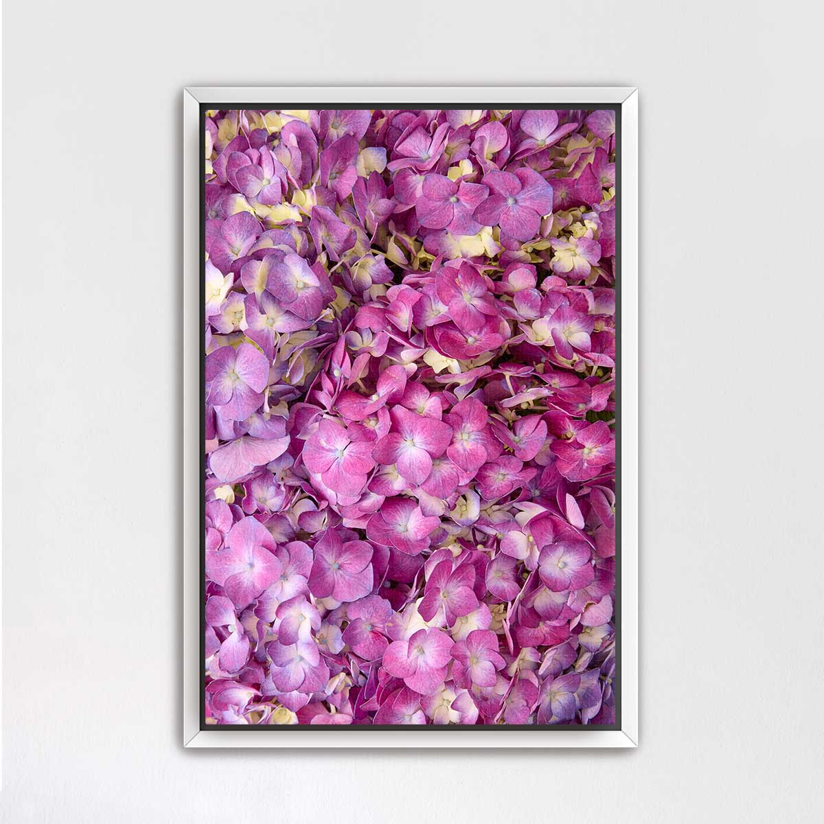 The image is a framed photograph of a vibrant bouquet of pink and purple flowers, creating a visually striking and colorful display.