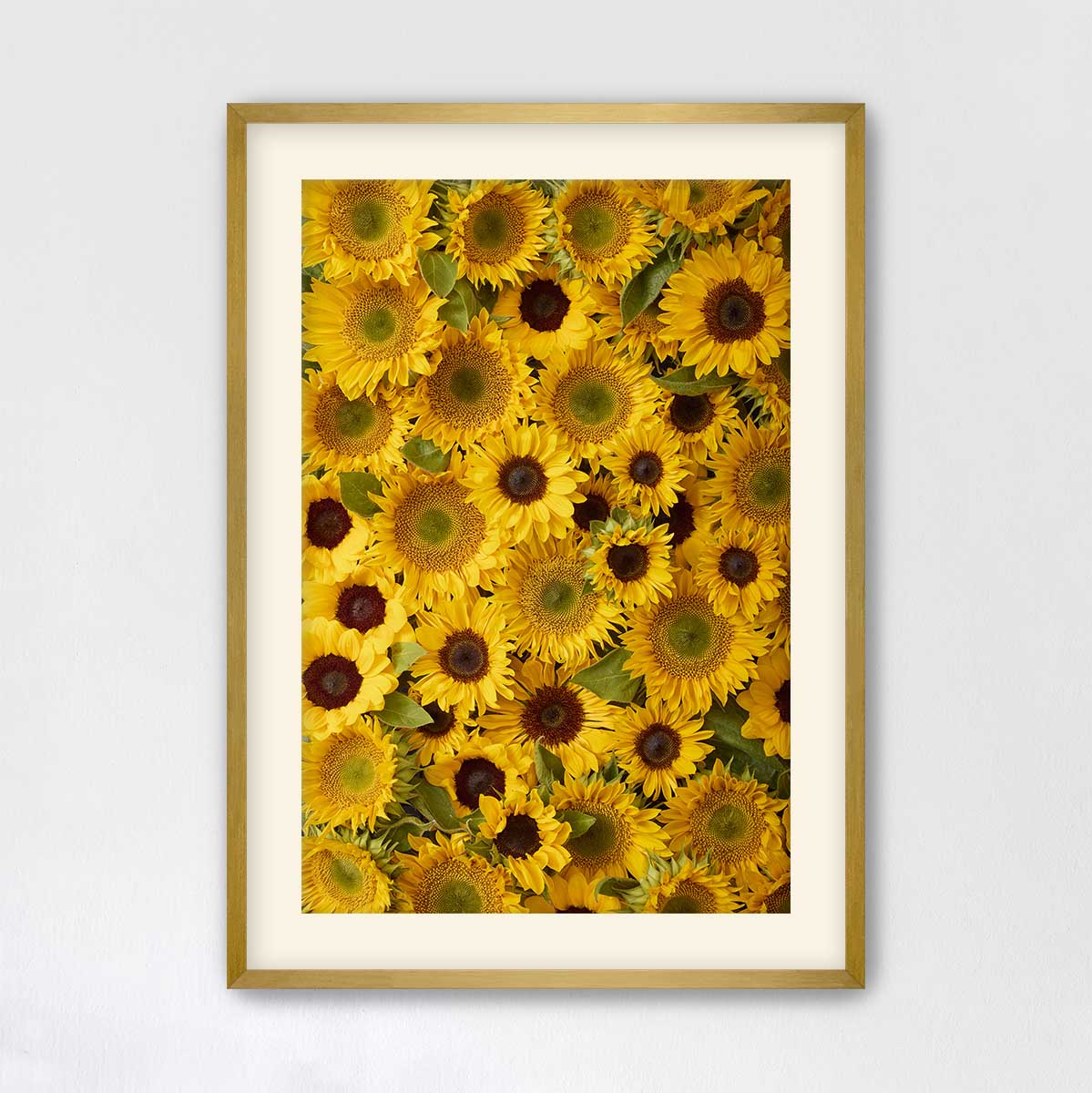 The image is a framed photograph of a large number of yellow sunflowers with green centers, arranged in a visually appealing pattern.