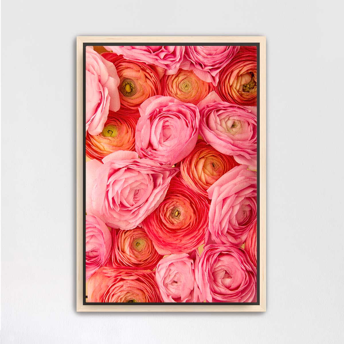 A framed image of a vibrant bouquet of pink and orange roses.