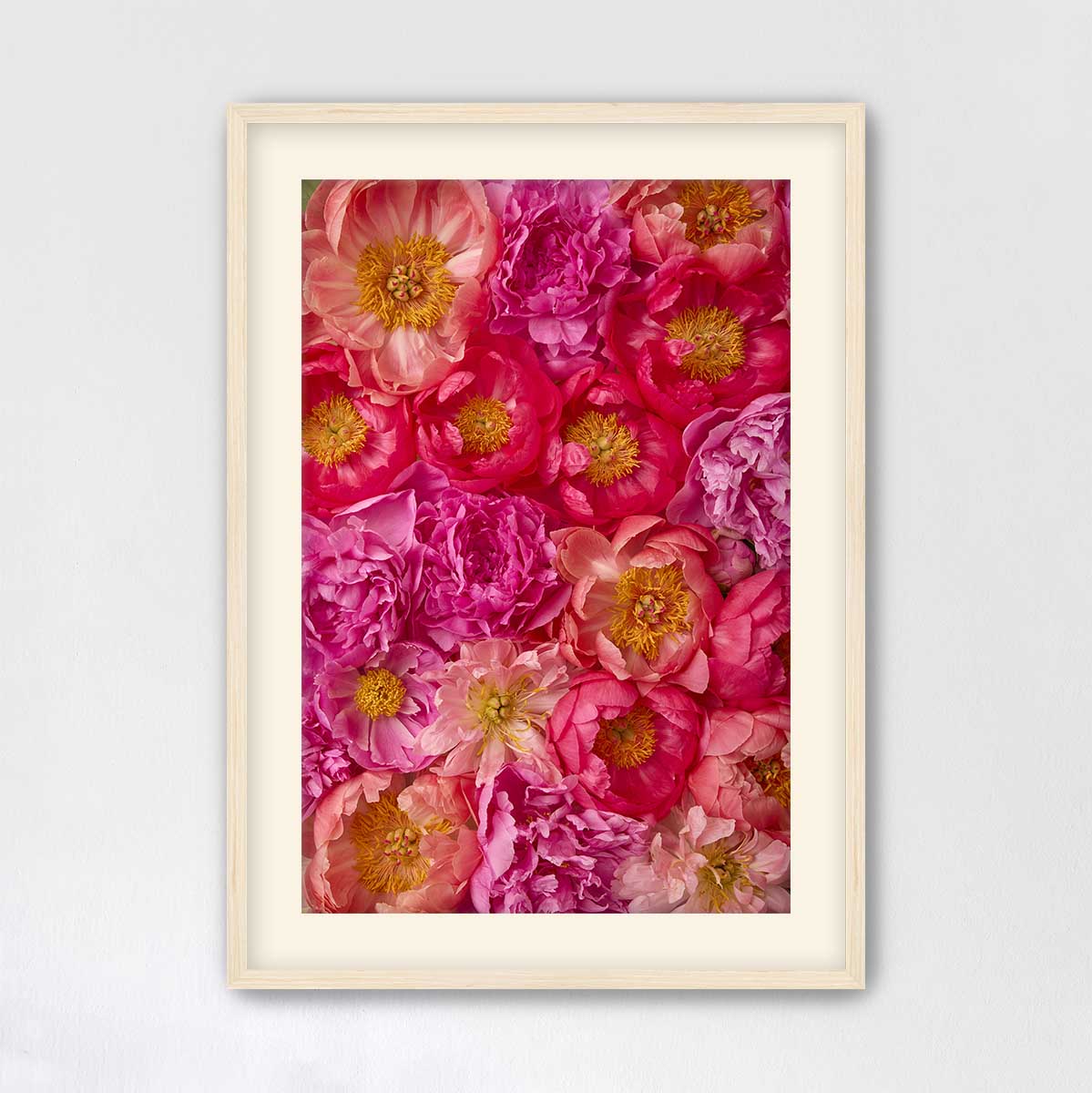 The image is a framed collage of various colorful flowers, including pink, red, and yellow blooms, arranged in a visually appealing manner.