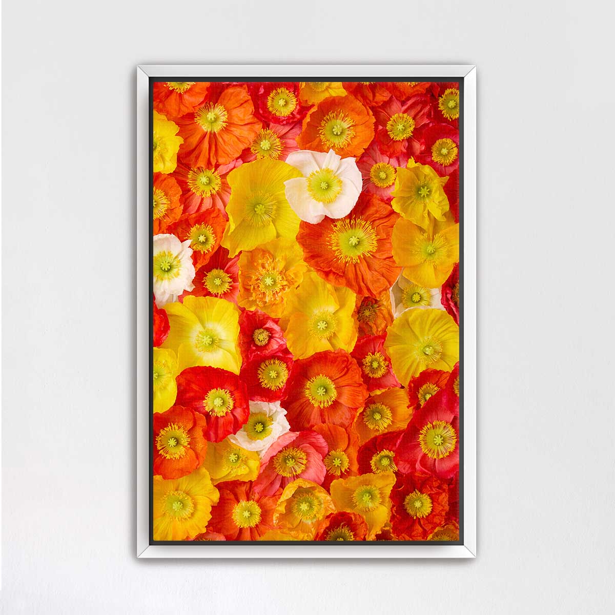 The image is a vibrant collage of various colorful flowers, including red, yellow, and orange blooms, arranged in a visually striking manner.