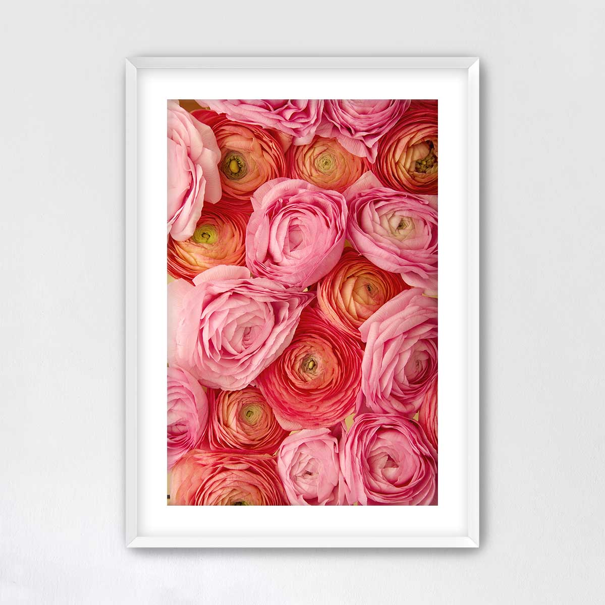 A framed image of a close-up view of a vibrant arrangement of pink and orange flowers, creating a visually striking and colorful display.