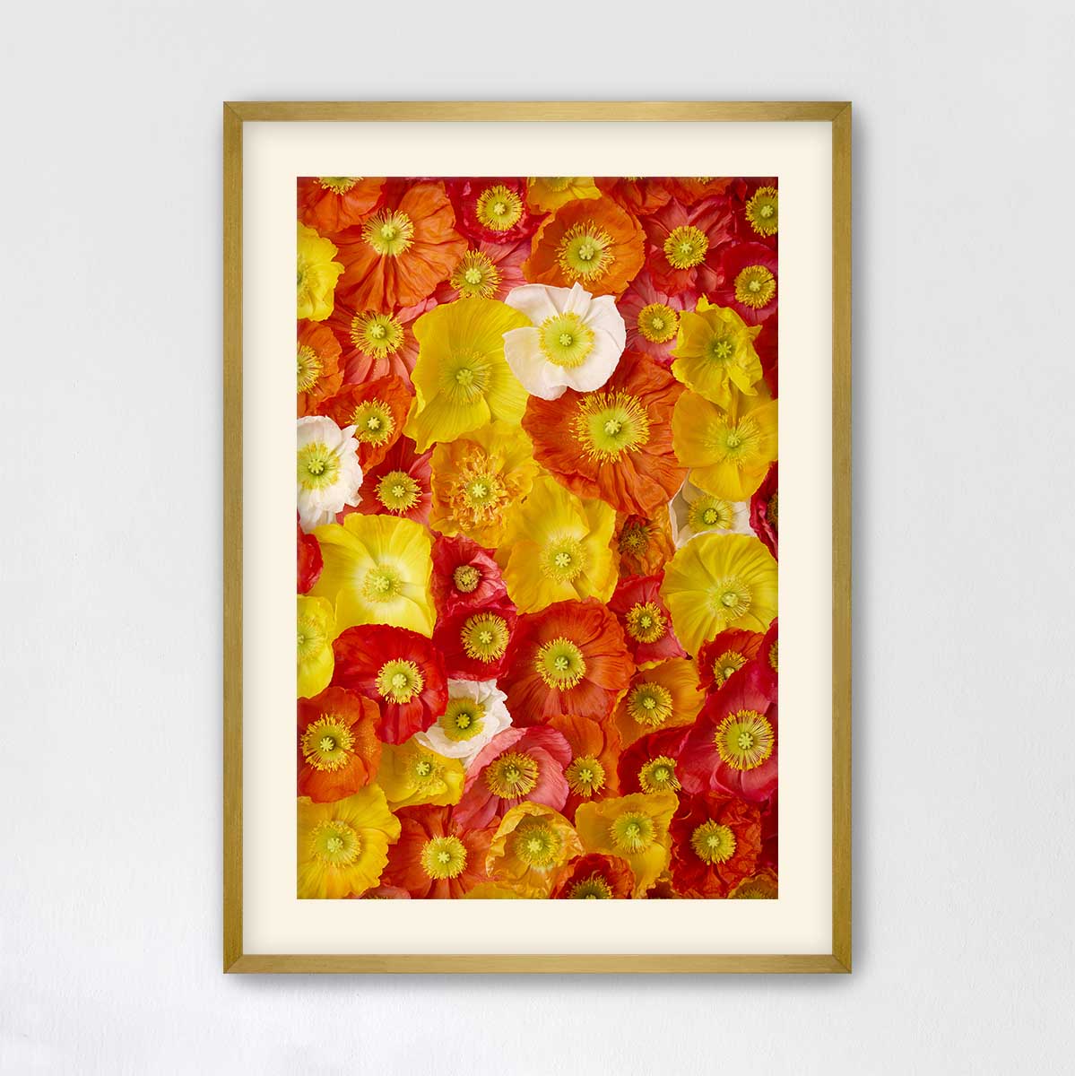 The image is a framed collage of various colorful flowers, including red, yellow, and white blooms, arranged in a visually appealing manner.