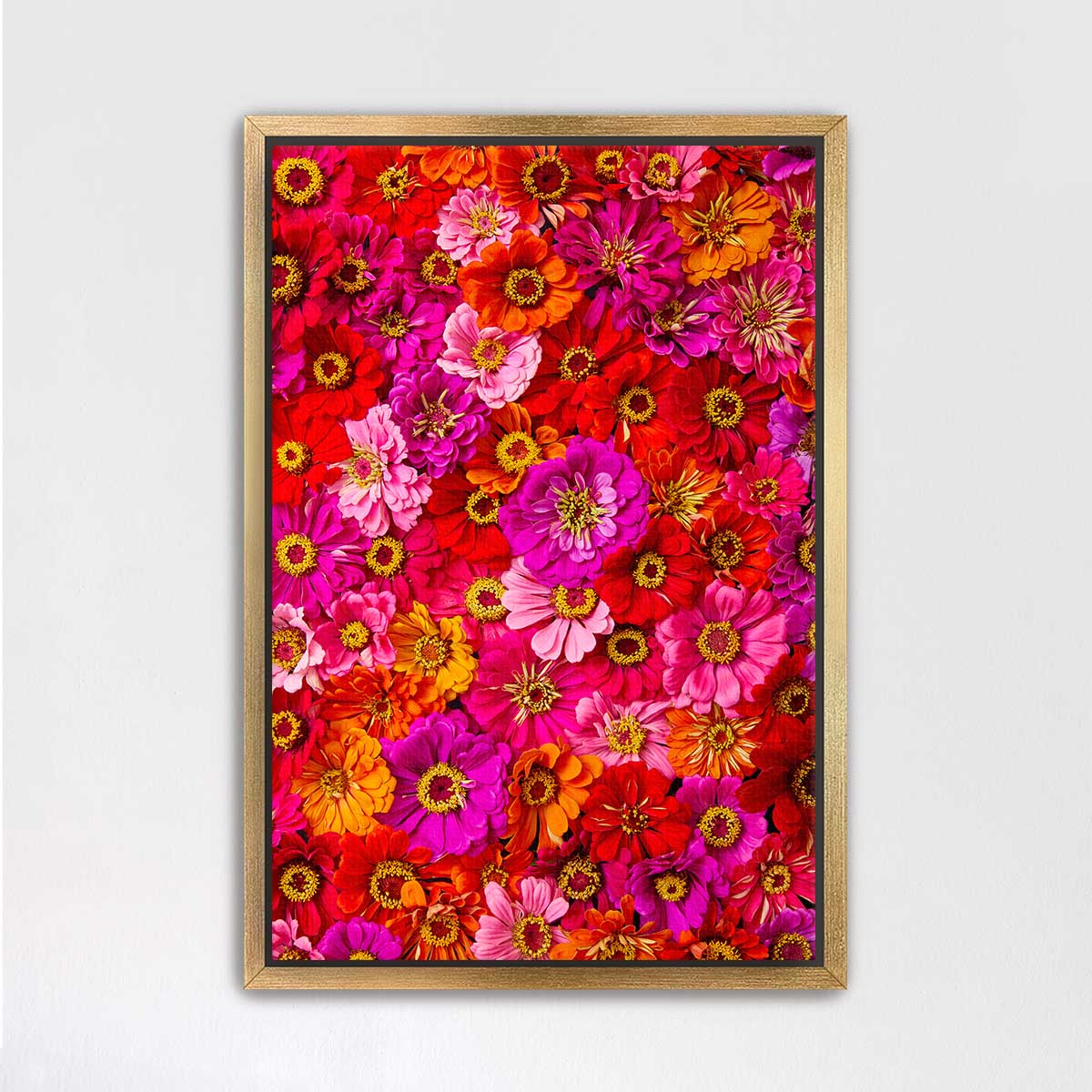 The image is a vibrant collage of various colorful flowers, including red, orange, pink, and yellow blooms, arranged in a visually striking manner.