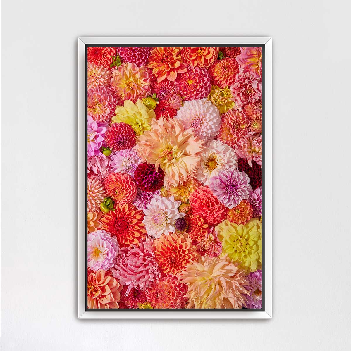 The image is a vibrant collage of various colorful flowers, including dahlias, peonies, and other blooms, arranged in a visually appealing manner.